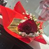 sanam06060