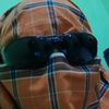 dedyekasaputra0