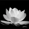 🪷 Đạo Minh Tâm 🪷
