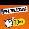 abuamir_elzein