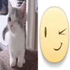 dfyhbuknji