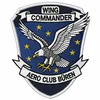 wingcommander79