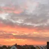 alva_fajersson010
