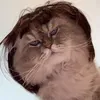 mewoone