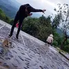 binhok217