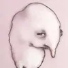 danielpenguin