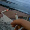 _petritai_