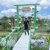 cuocdoia3
