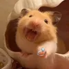 thikanckomckom