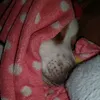 thora_16