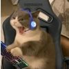 ch0c01ate_m1lk