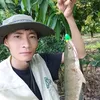 tranhoa08031990