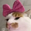 _pixim_