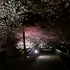 toshi03110