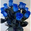 bluerose20140