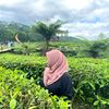 firdaaarrr_