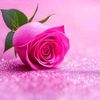 user2437899karim72