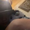 jkk_3868