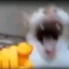30415271353