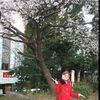 sakurakitchen85