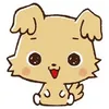 achan_3526