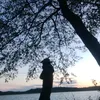 vilto_roks