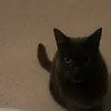 pnxjxmsbakmx