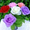 nezam_k