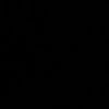 l1y