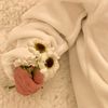 abu_sheba7