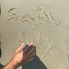 suzatabhuzel