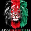 musa_af08