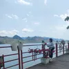 nguyetbui135