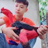 nguyenquangninh1198