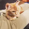 jaythegay4