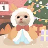 bundaumamtom005