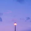 nhi_1263