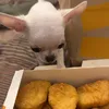 filipovvskaa