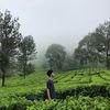 .siapaiyaaa