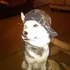 ppptxt