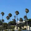 nlalito
