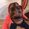 ayyxn_10