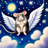 dreamabouttherain2