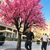 nojrul21