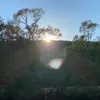 unique__nature