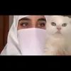 shahen6666