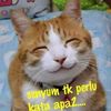 utifahad2