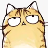 mrleecat88