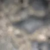 30429673441