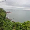 linhviet432